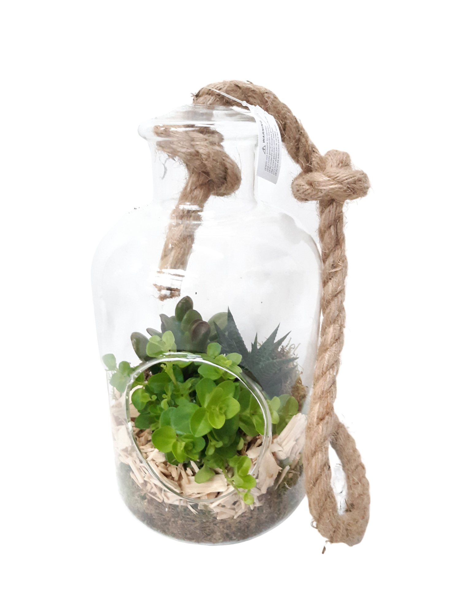 GKS16 Terrarium + touw H26 Mini Groenmix, D 14