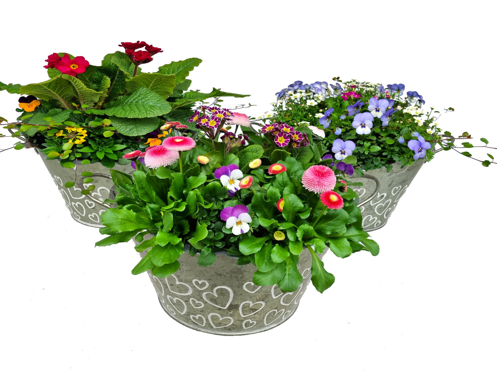 VM763-9323 voorjaarsmix Green Love zink rond, D 22