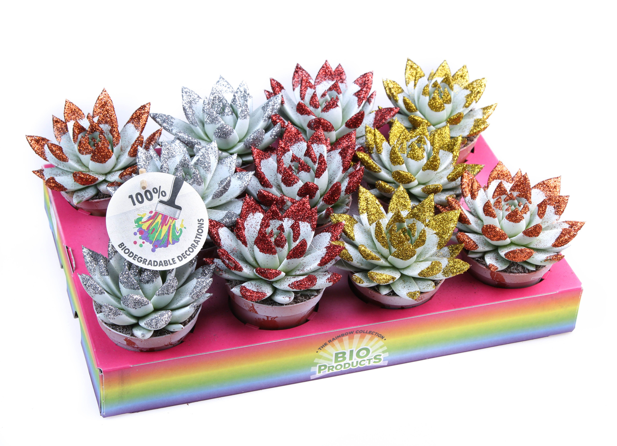 Bio miranda wit + glittertips, D 8,5