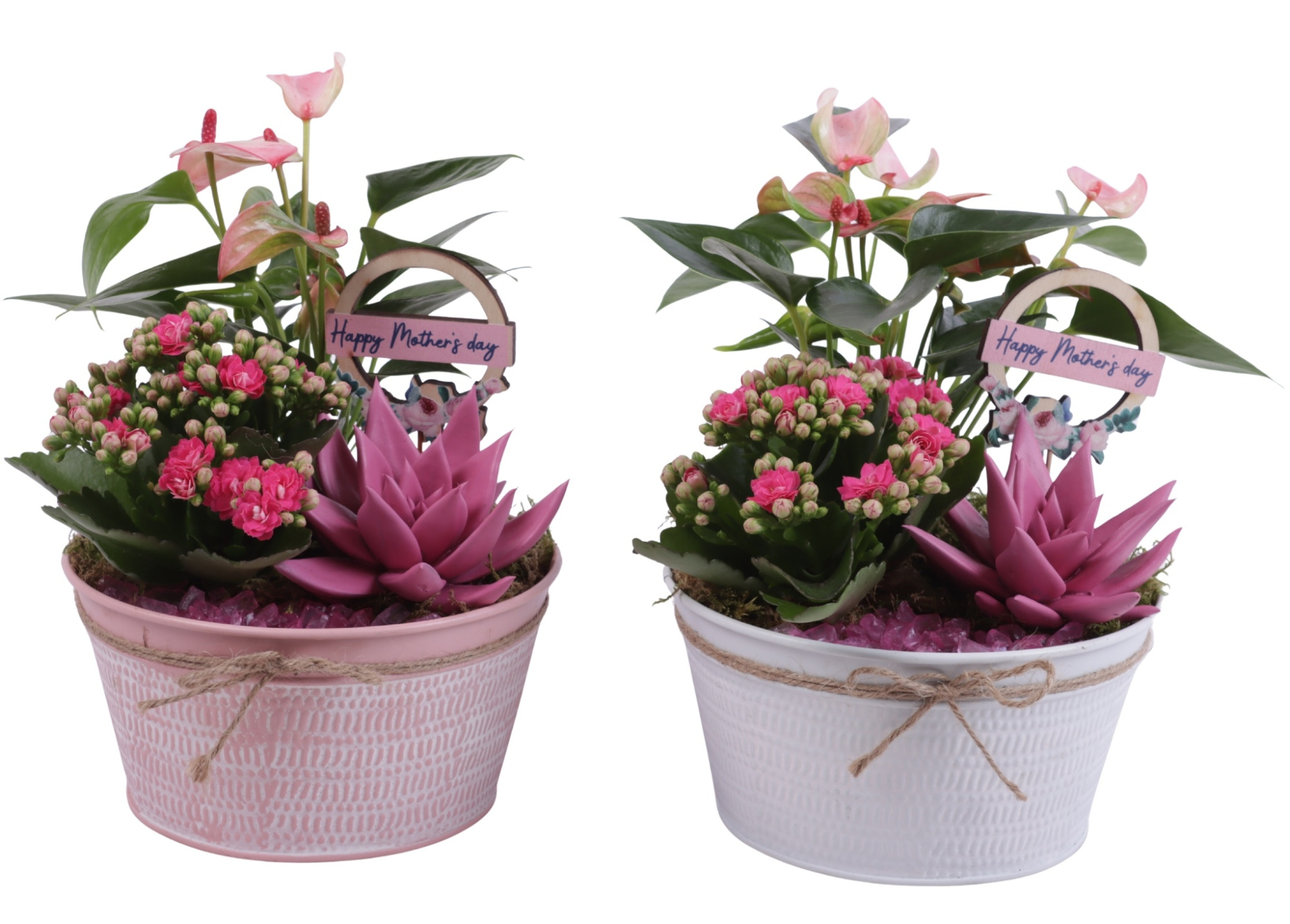 Mothersday Arr. Indoor Zinc Pot Round Pink/White Ø17cm 3PP, D 17