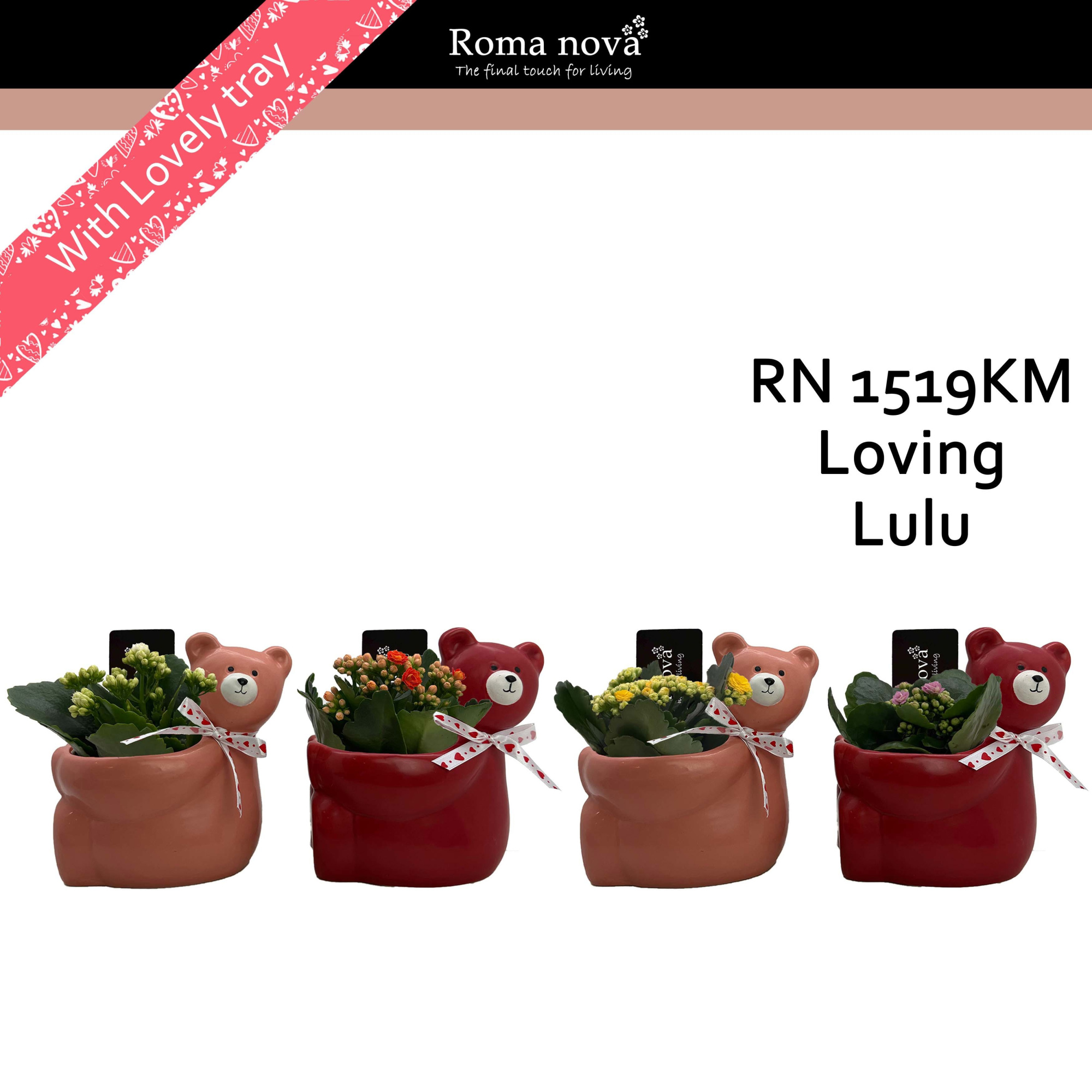 1519KM - Loving Lulu (Kalanchoe mix), D 15