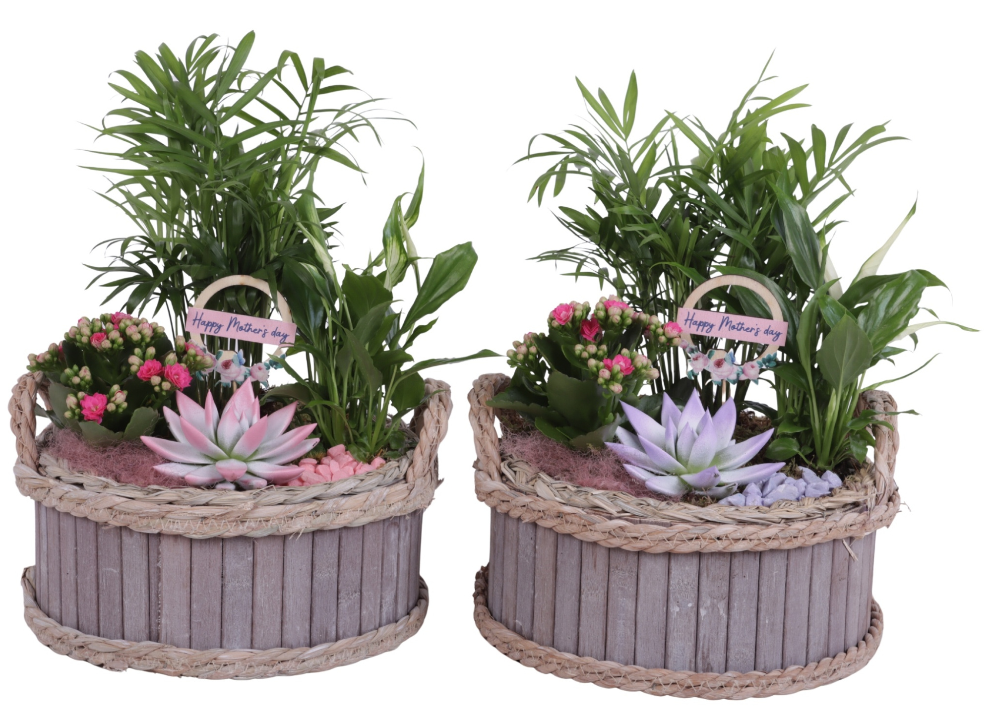 Mothersday Arr. Indoor Wooden Pot Waterhyacinth Rim Ø25cm 4PP, D 24