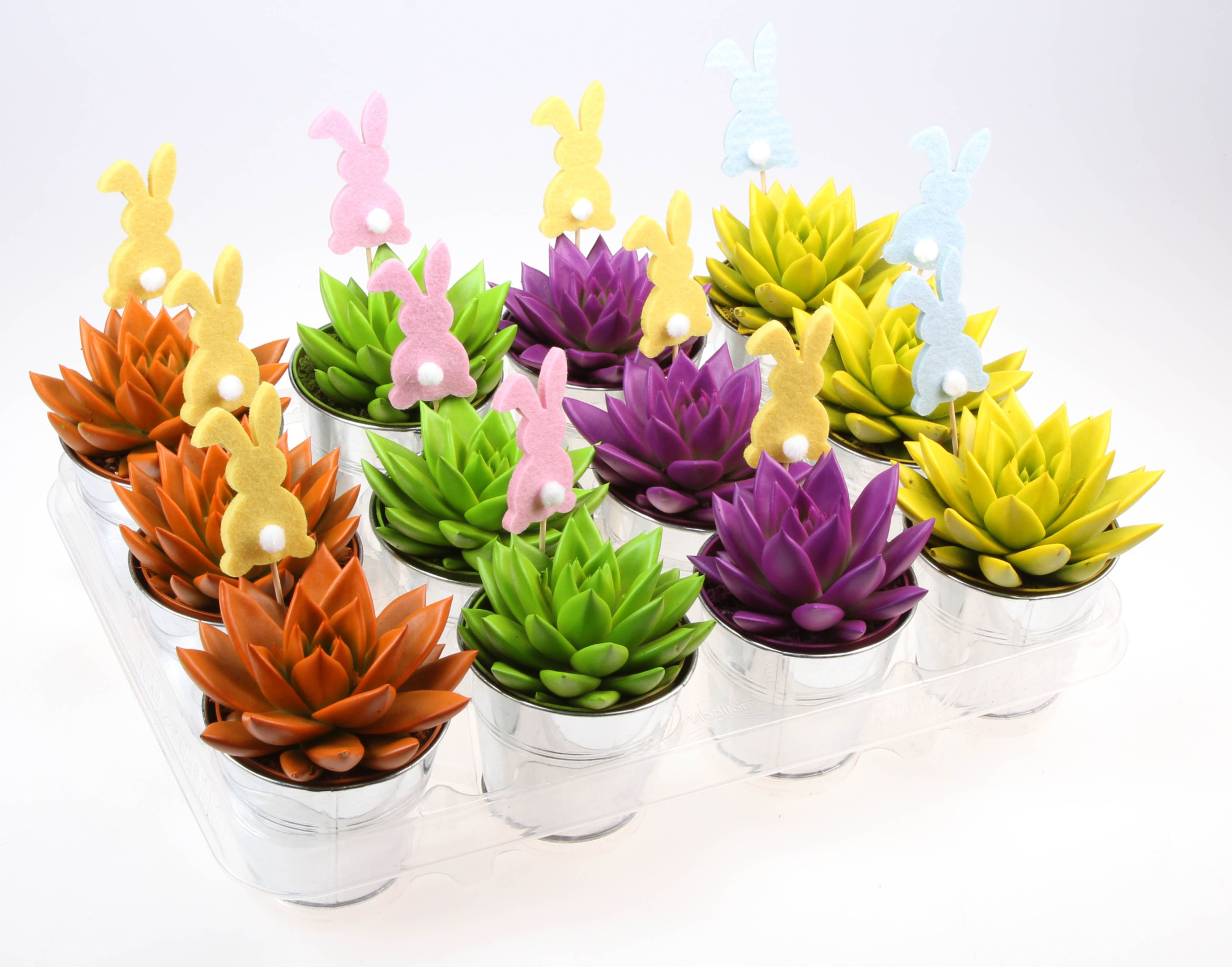 Zink rainbow mix + bunny, D 10