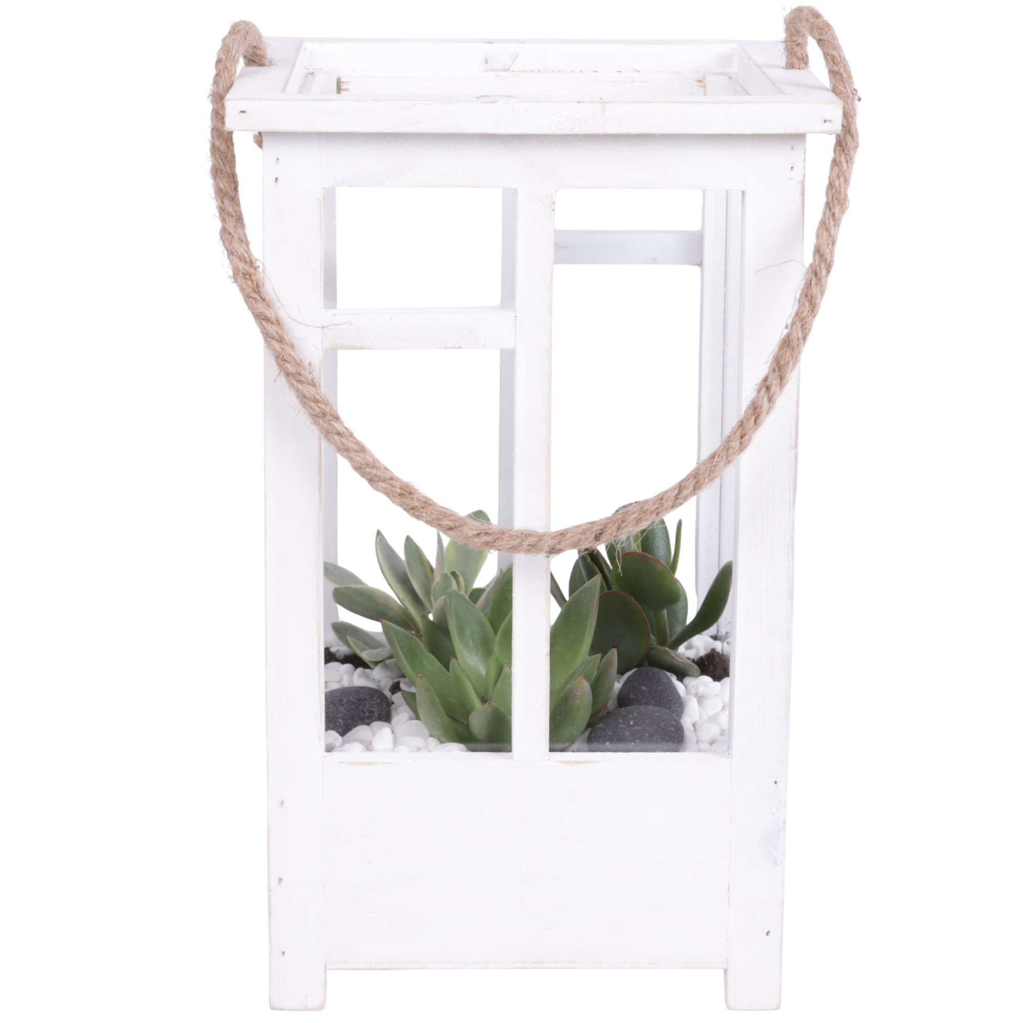 Yearround Arr. Succulent Wooden Lantern pot White mix/3 Ø19cm 2P, D 19