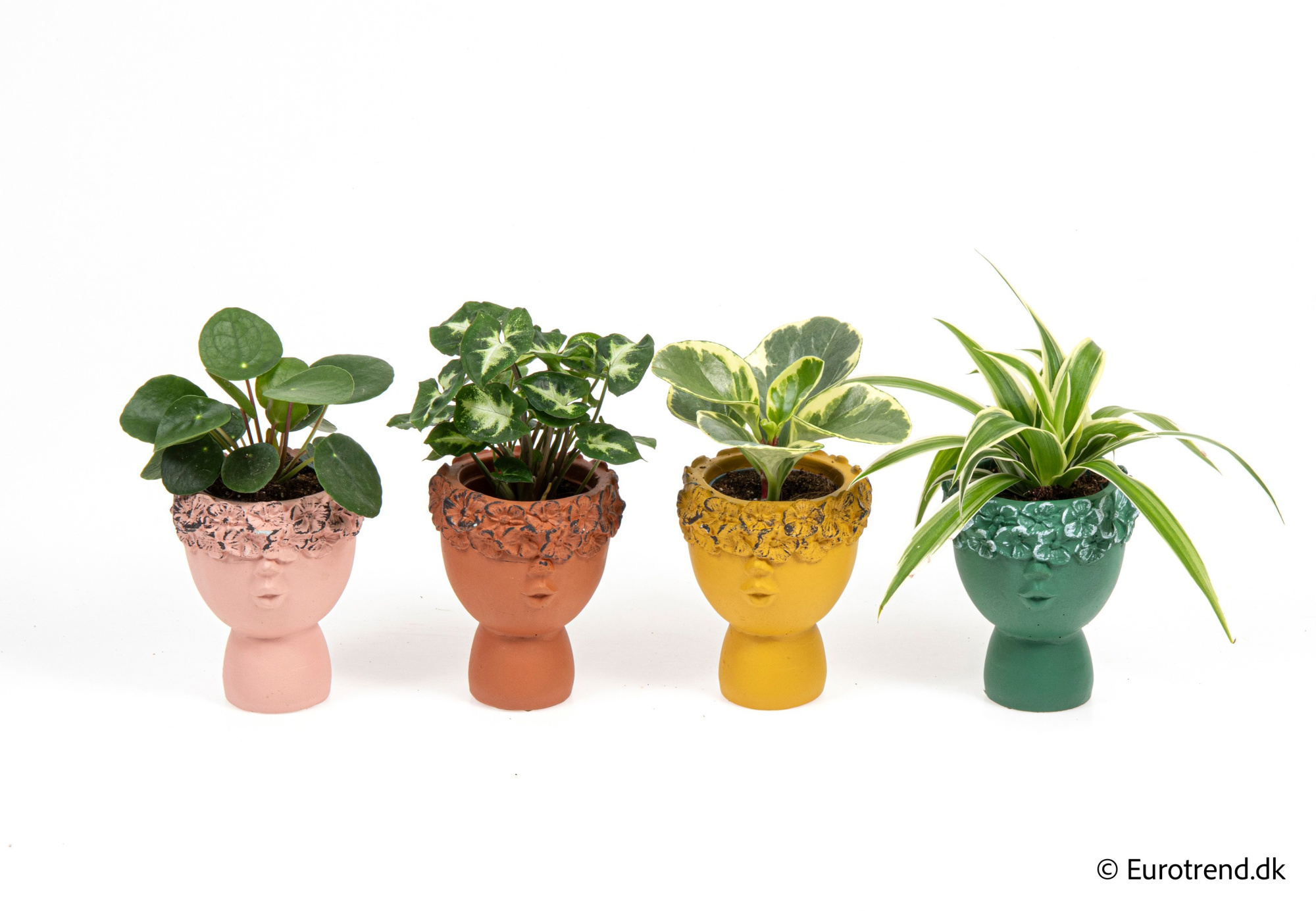 Green mix in New Look ceramic 2026, D 6