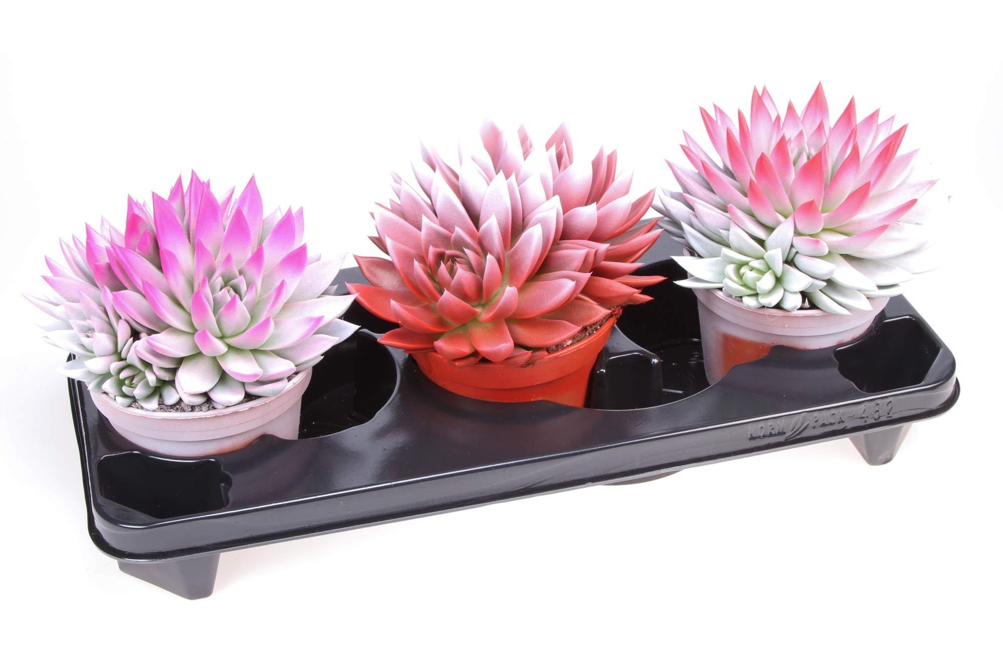 2 Colors love mix, D 15