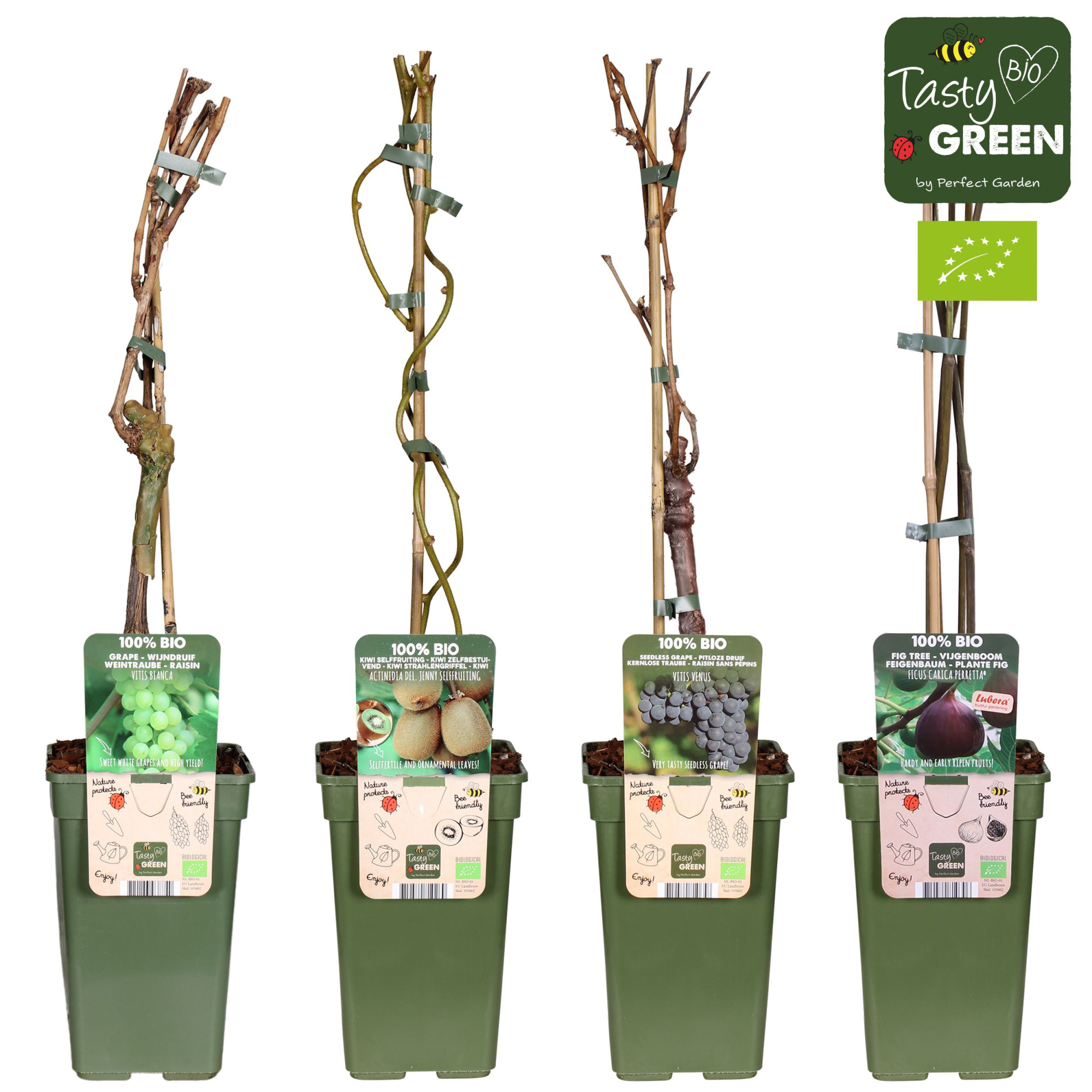 Fruit mix laag bio klimfruit P19, D 19